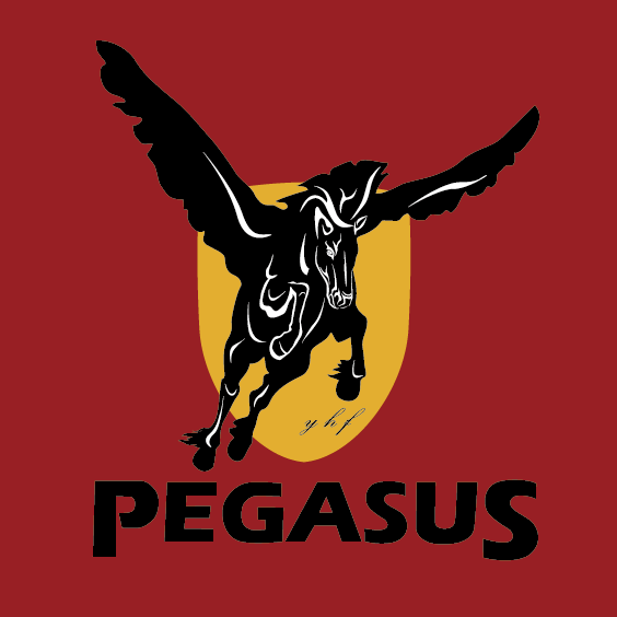 Pegasus International Group 